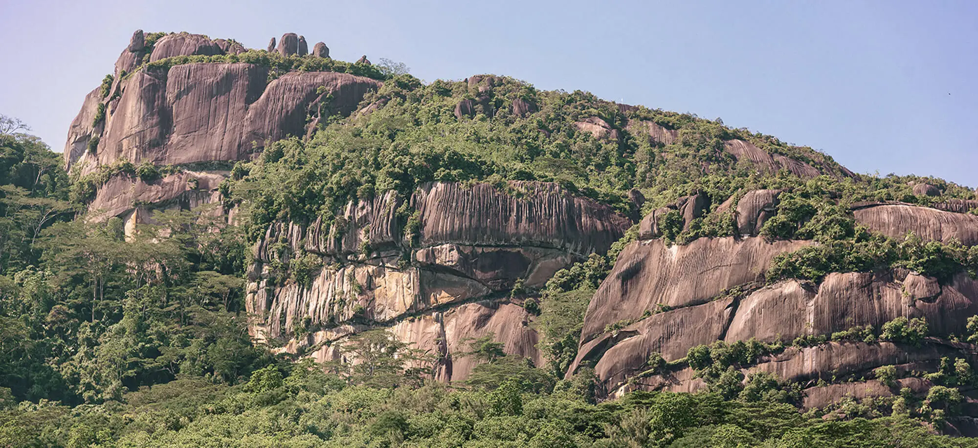 Viatges al Parc Nacional Morne Seychellois