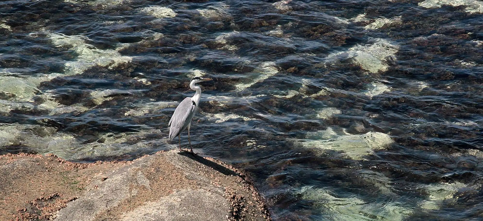 image-viajar-a-seychelles-Parque nacional morne seychellois-g-2.webp - Pangea Viajes