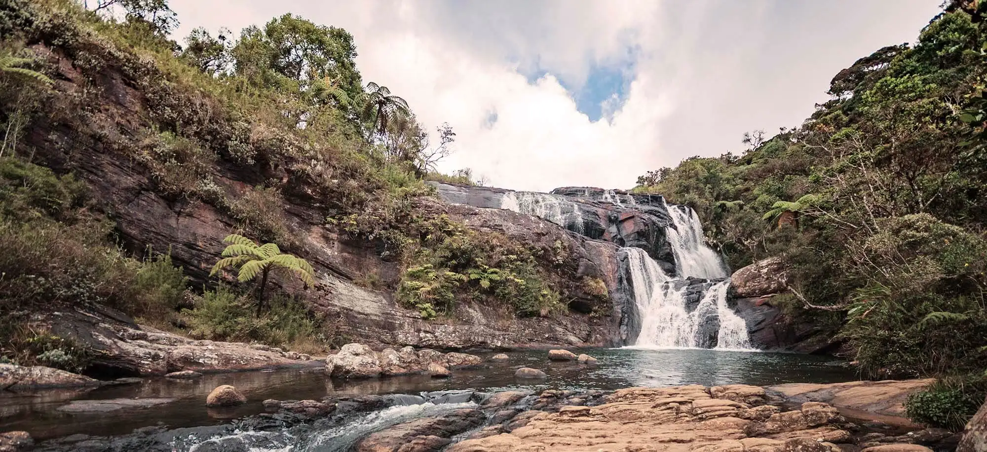 image-viajar-a-sri-lanka-el-mejor-te-del-mundo-nuwara-eliya-g3.webp - Pangea Viajes