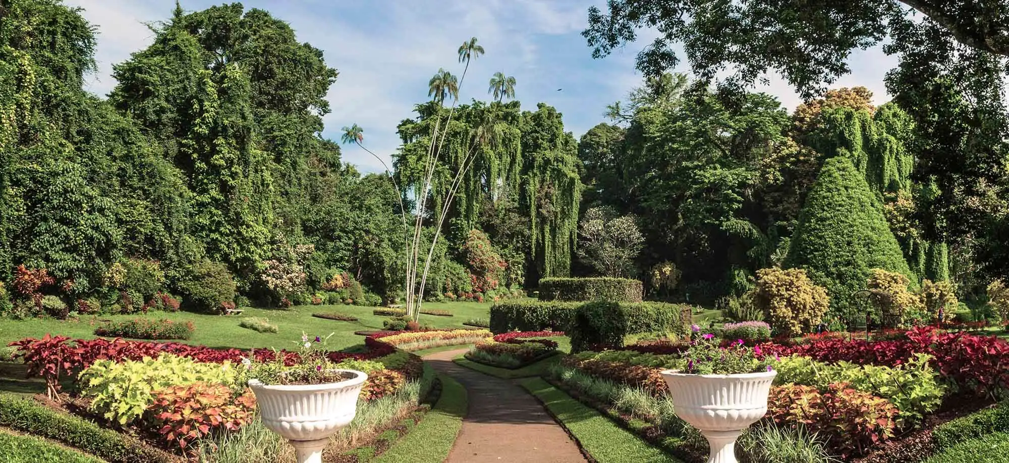 image-viajar-a-sri-lanka-kandy-lugar-sagrado-g3.webp - Pangea Viajes