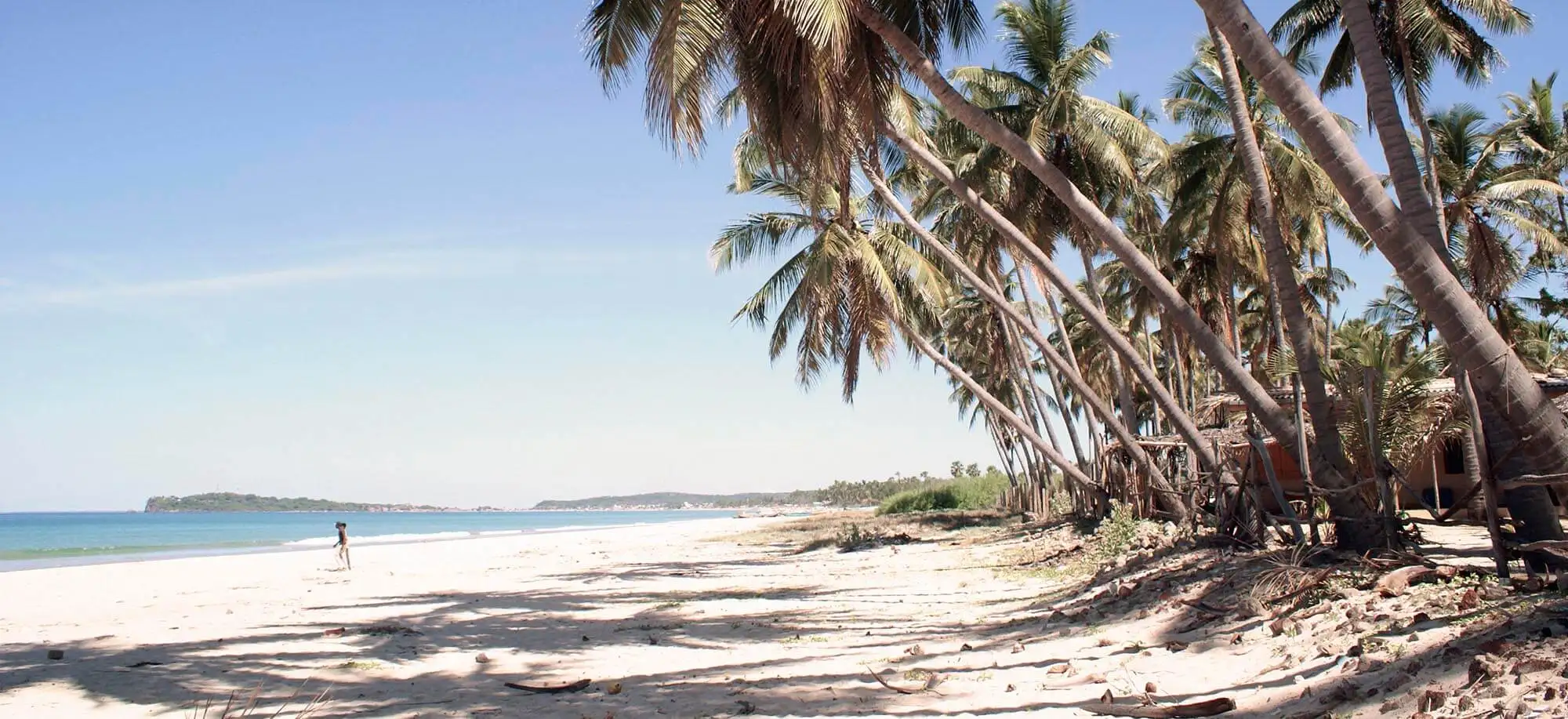 image-viajar-a-sri-lanka-playas-virgenes-de-trincomalee-g3.webp - Pangea Viajes