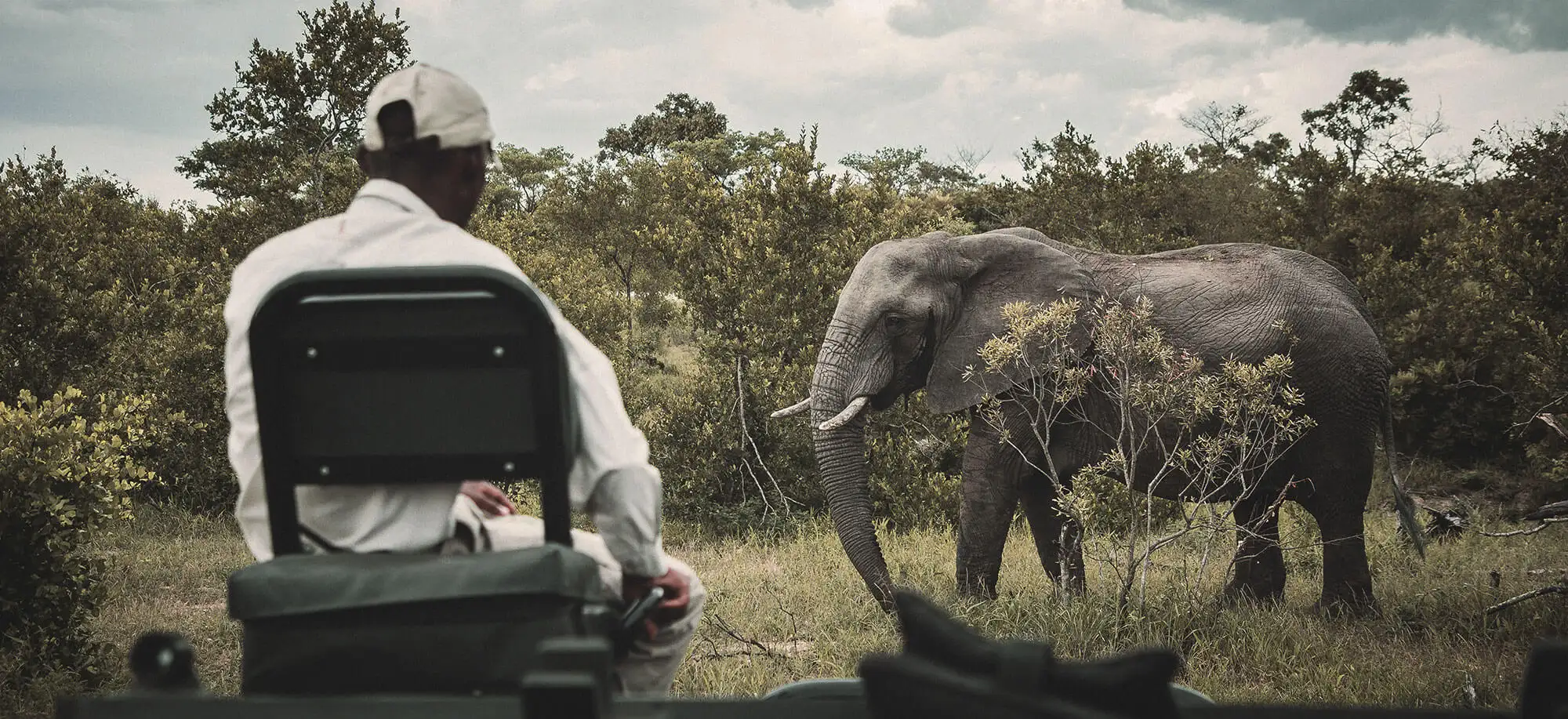 image-viajar-a-sudafrica-parque-kruger-g1.webp - Pangea Viajes