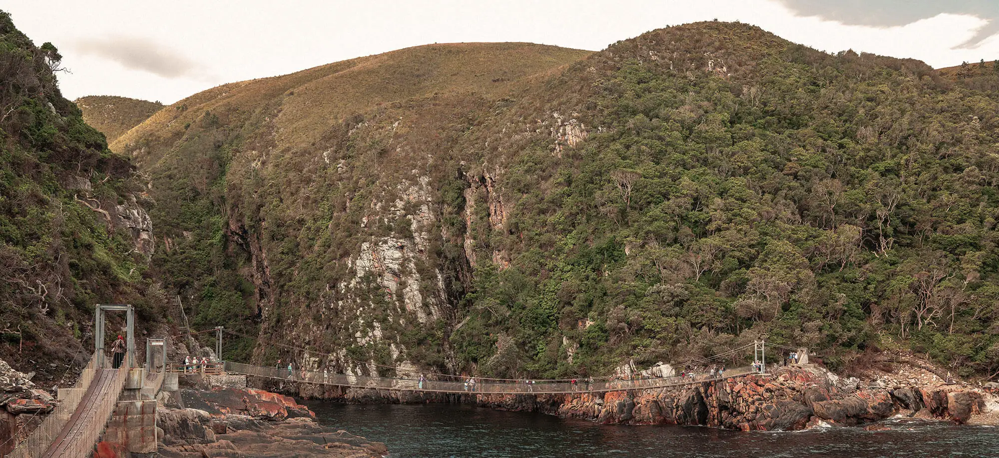 image-viajar-a-sudafrica-ruta-jardin-g3.webp - Pangea Viajes