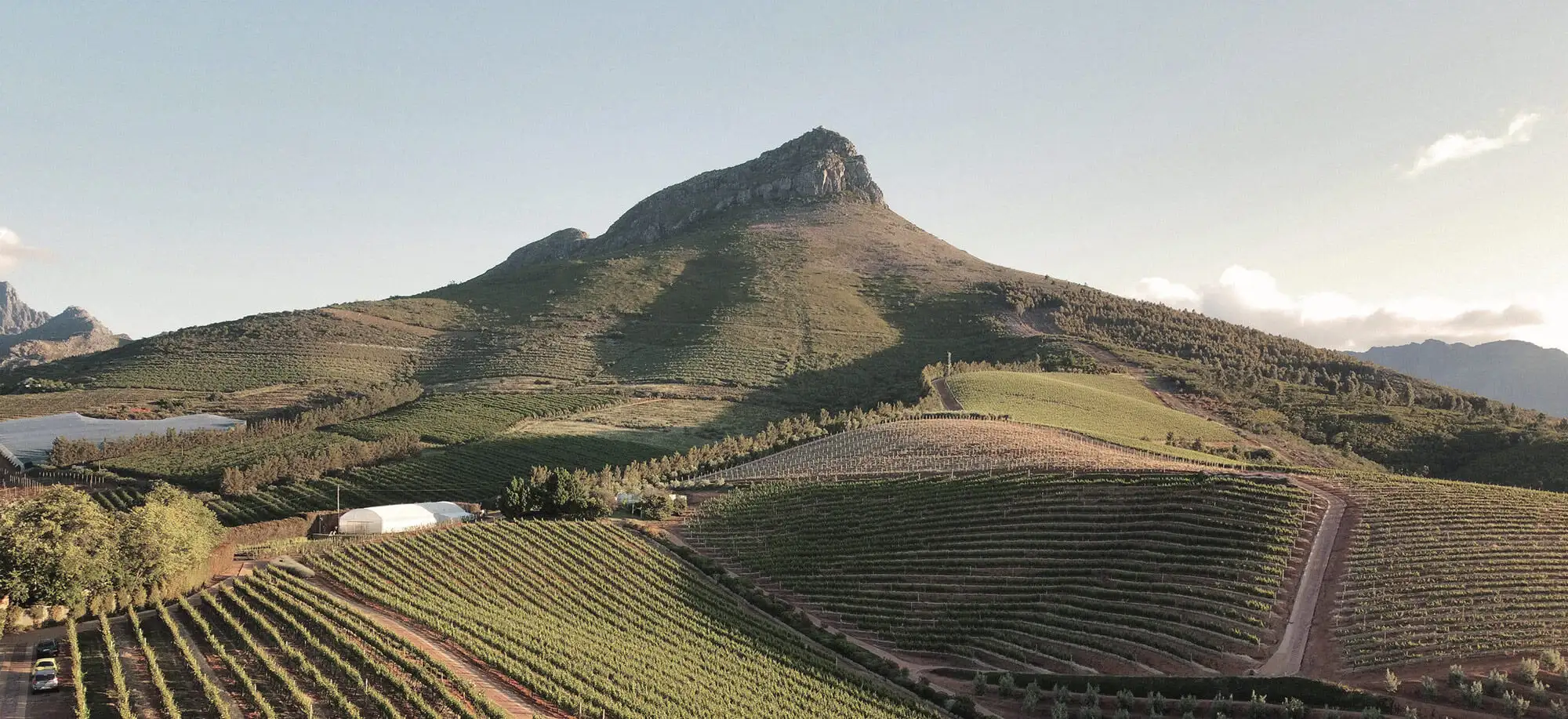 image-viajar-a-sudafrica-vinedos-g3.webp - Pangea Viajes