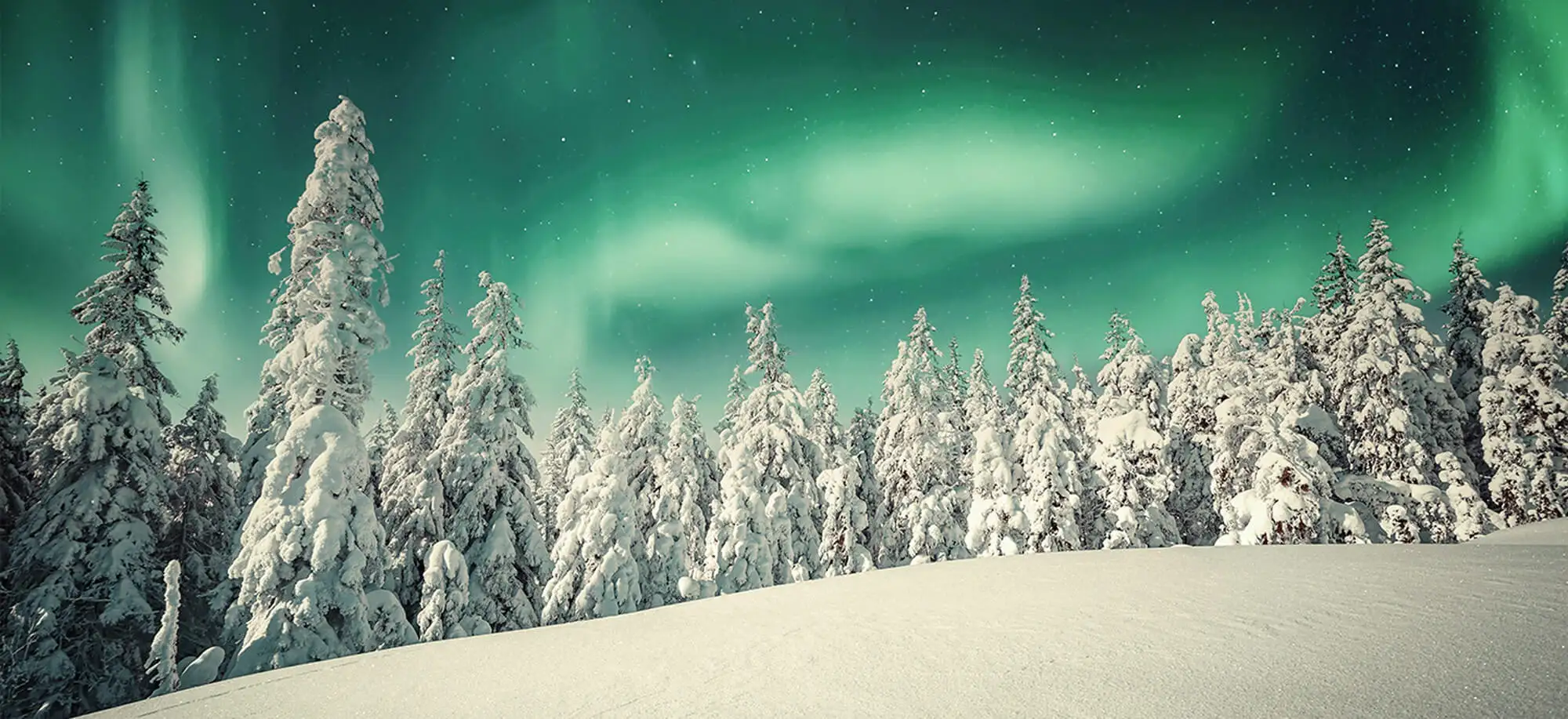 image-viajar-a-suecia-laponia sueca-g-1.webp - Pangea Viajes