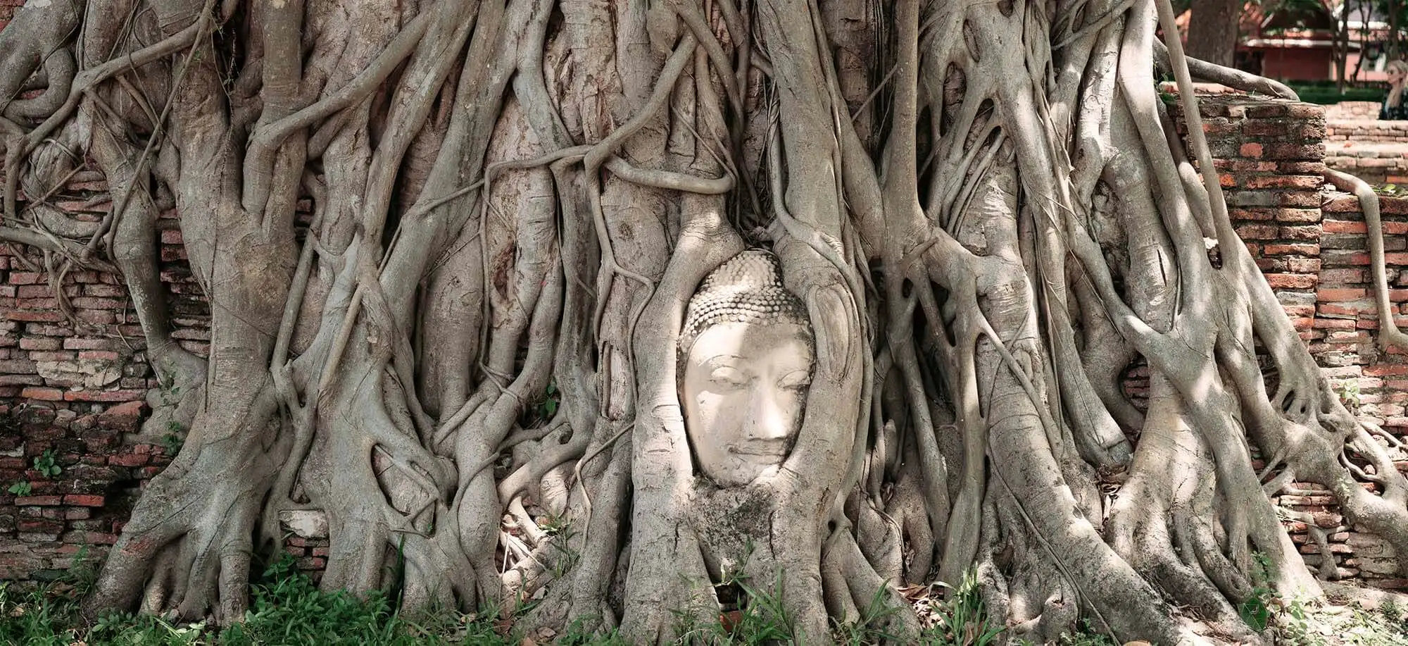 image-viajar-a-tailandia-ayuttaya-g2.webp - Pangea Viajes