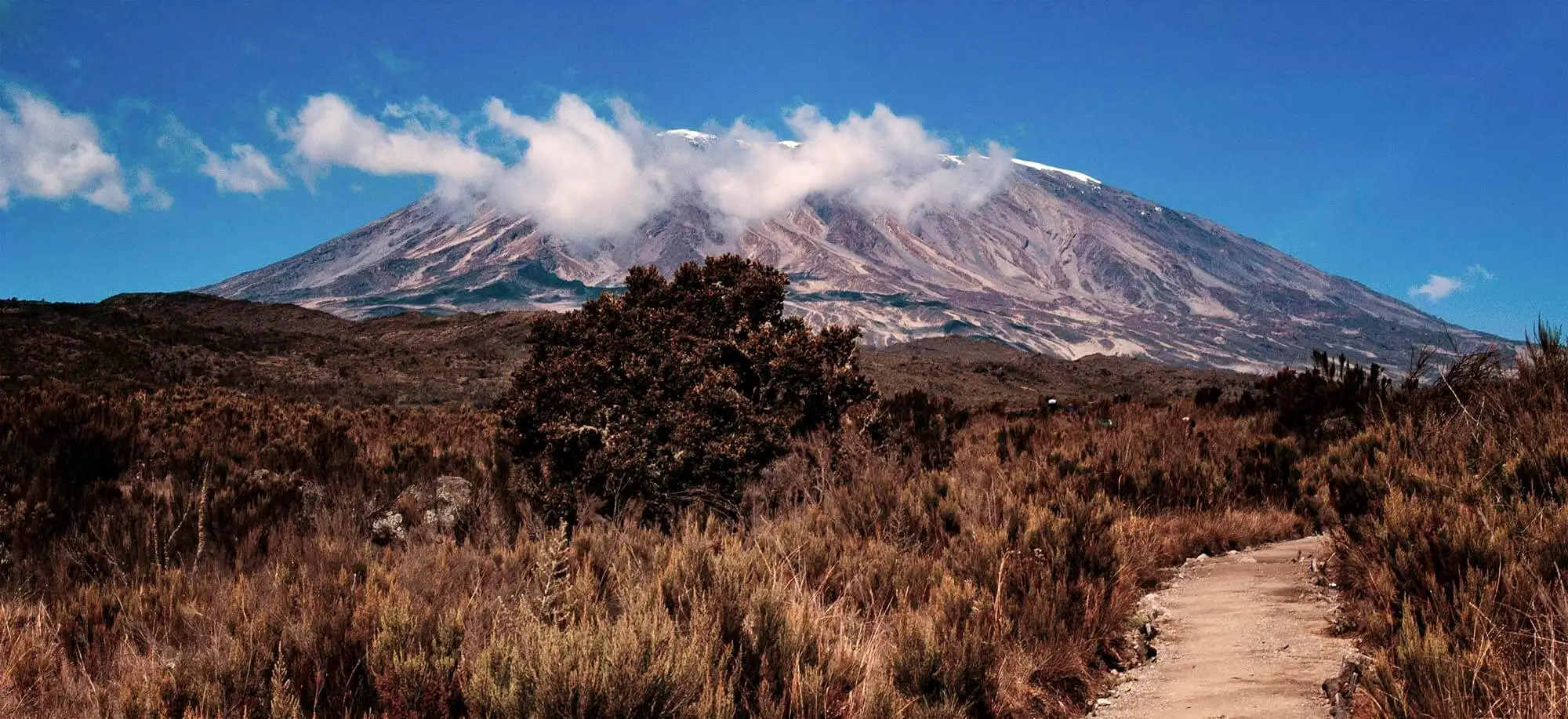 image-viajar-a-tanzania-kilimanjaro-g2.webp - Pangea Viajes