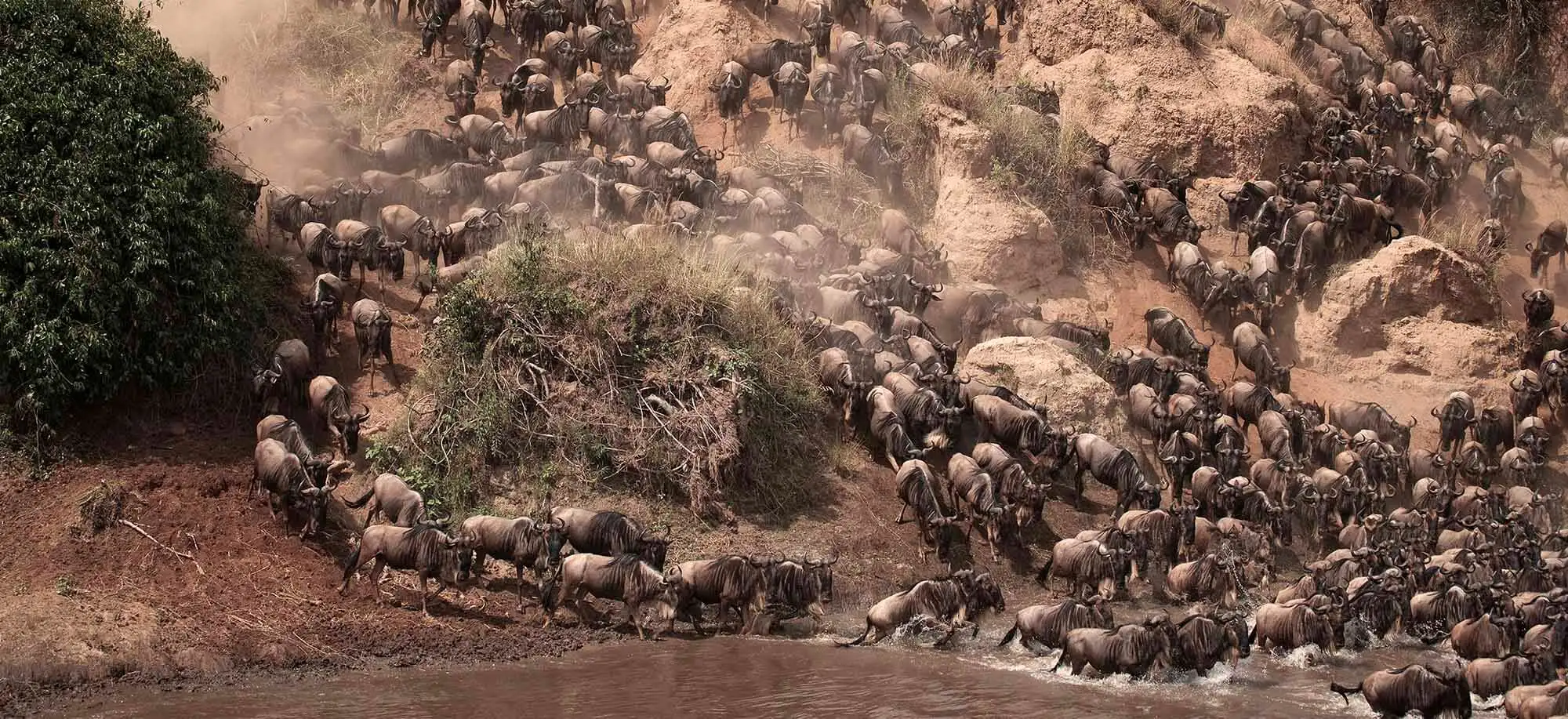 image-viajar-a-tanzania-ngorongoro-g3.webp - Pangea Viajes