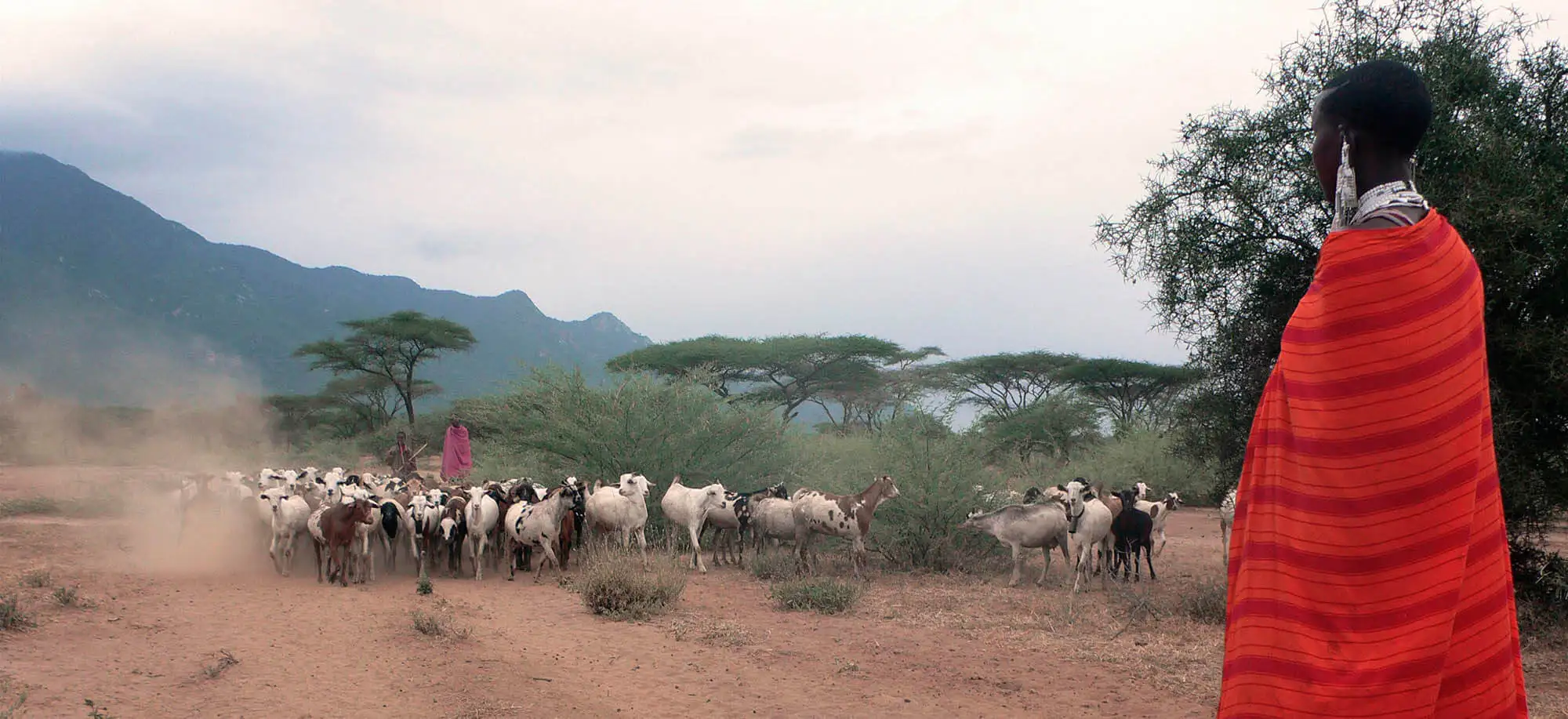 image-viajar-a-tanzania-tribus-tanzanas-g2.webp - Pangea Viajes