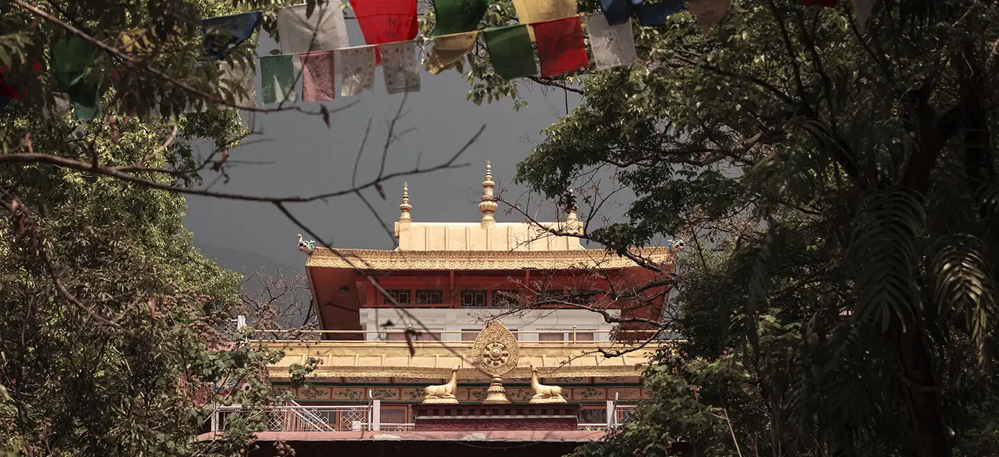 Viatges al Palau de Norbulingka