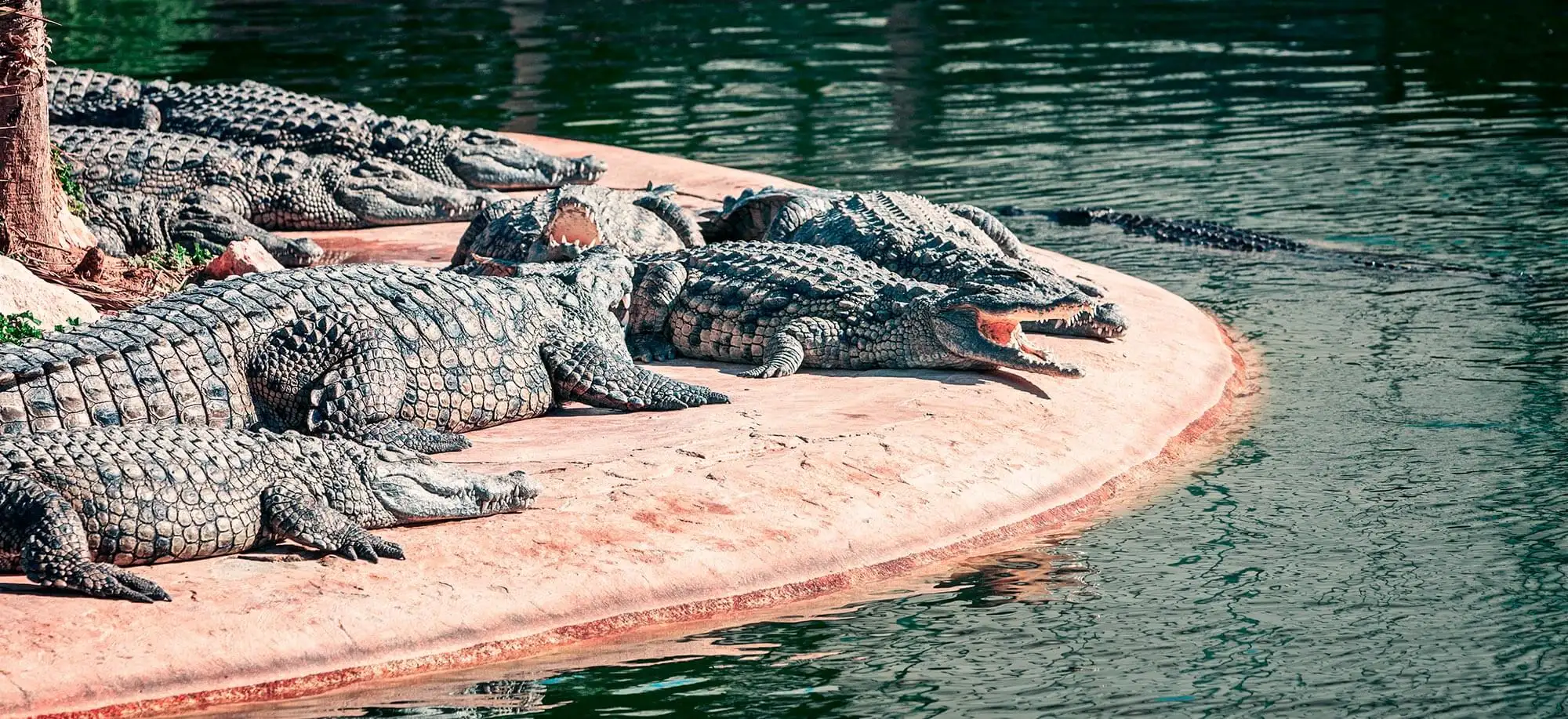 image-viajar-a-tunez-djerba-g2.webp - Pangea Viajes