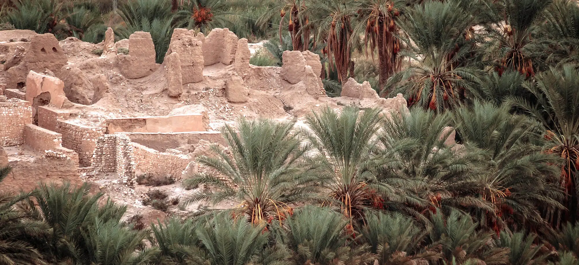 image-viajar-a-tunez-tamerza-g3.webp - Pangea Viajes