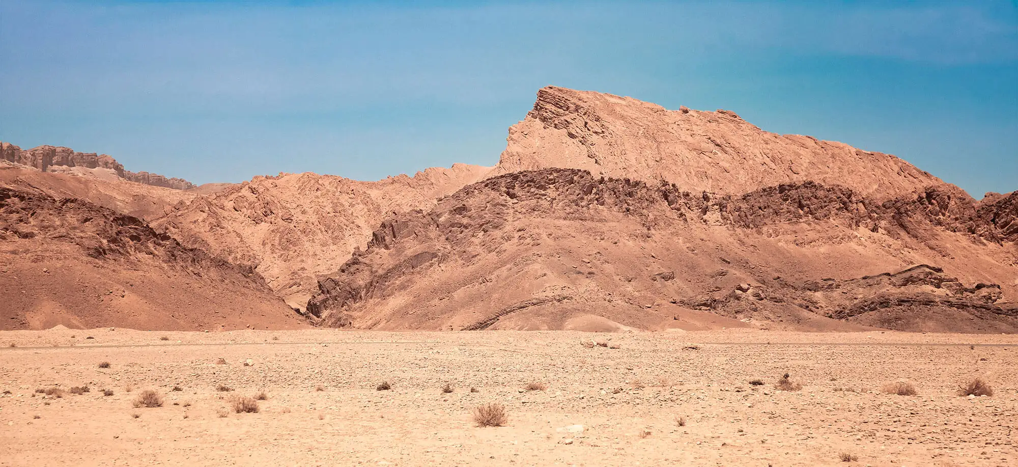 image-viajar-a-tunez-tozeur-g3.webp - Pangea Viajes