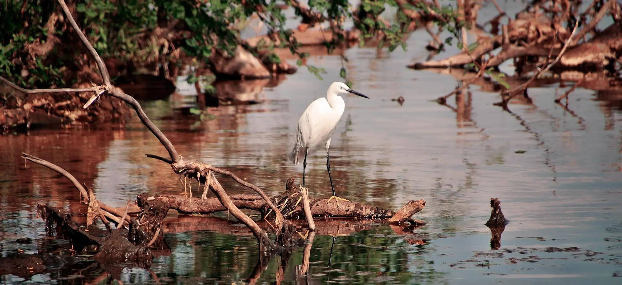 image-viajar-a-uganda-lago-victoria-g1.webp - Pangea Viajes