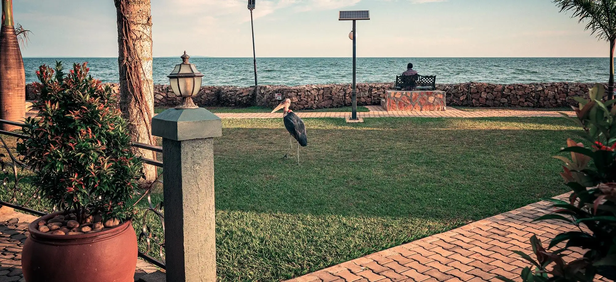 image-viajar-a-uganda-lago-victoria-g2.webp - Pangea Viajes