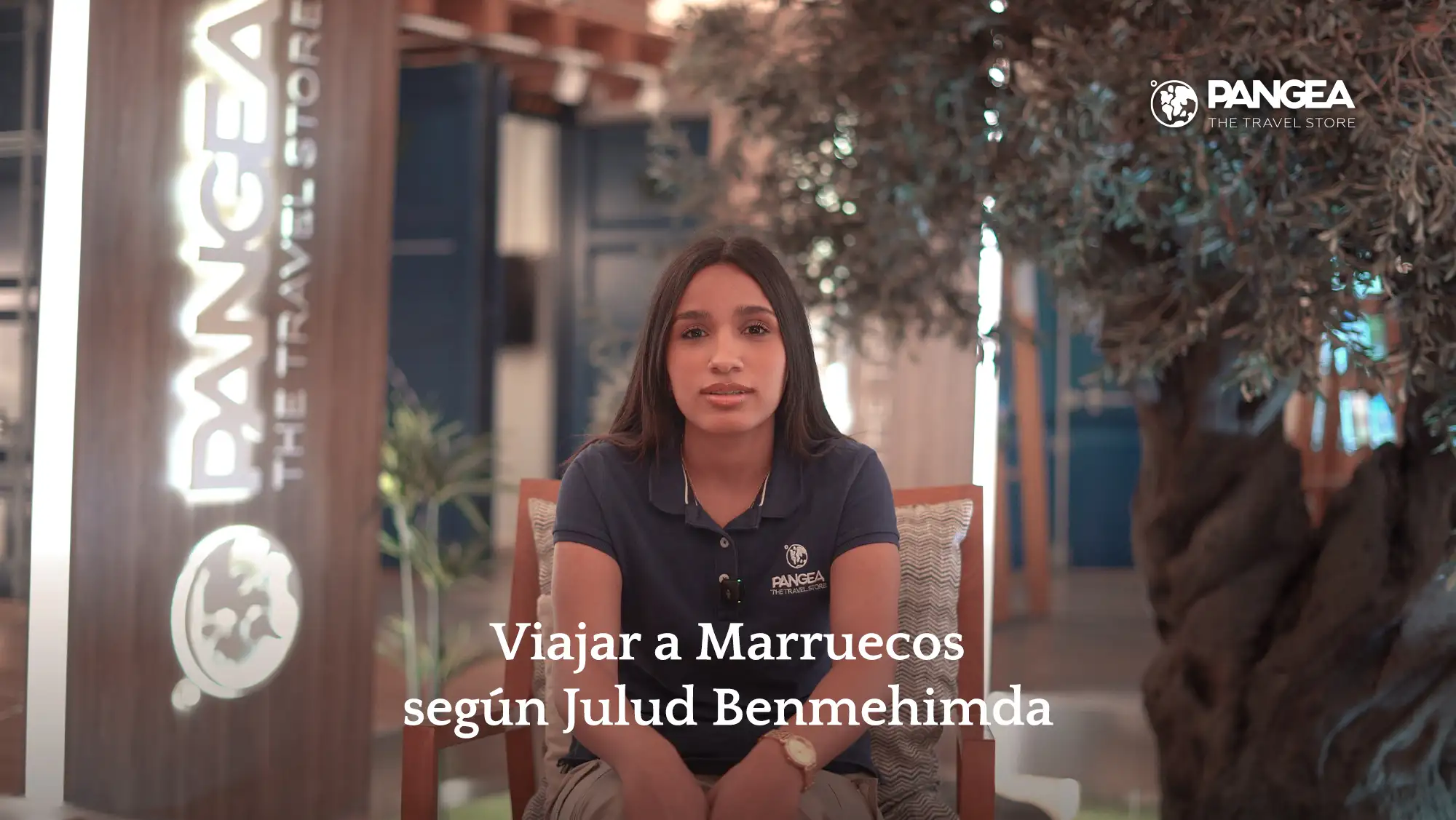 video modal image