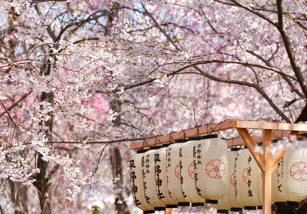 Los mejores rincones de Japón para disfrutar del sakura, la floración del cerezo