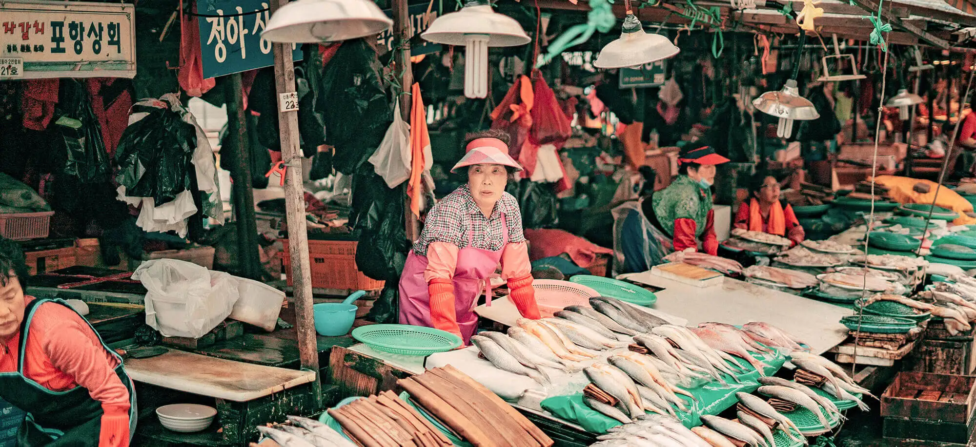 image-viaje-a-corea-del-sur-busan-g1.jpg - Pangea Viajes