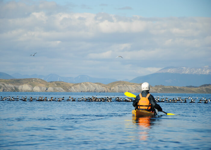 viaje-a-isla-navarino-aventura