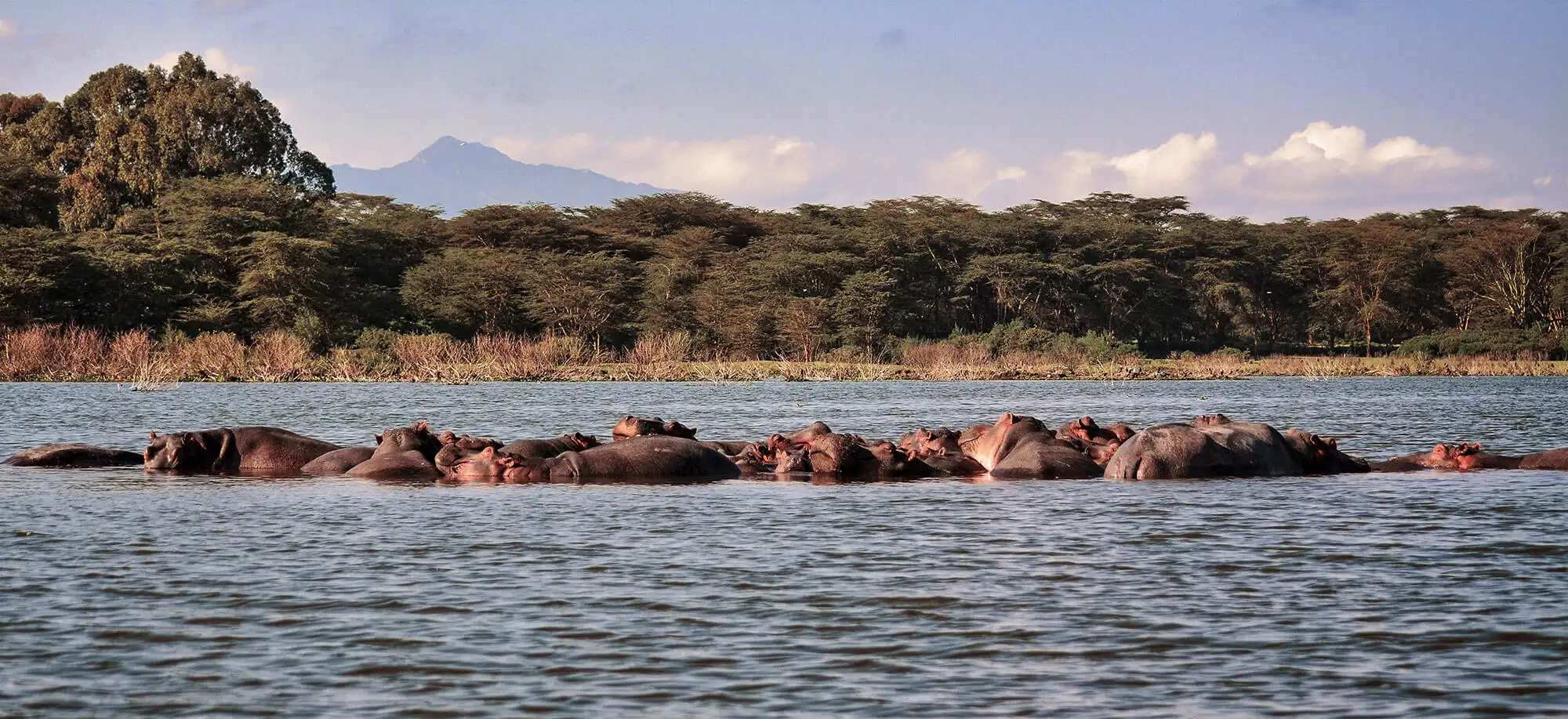 Viatges als Llacs Naivasha i Nakuru