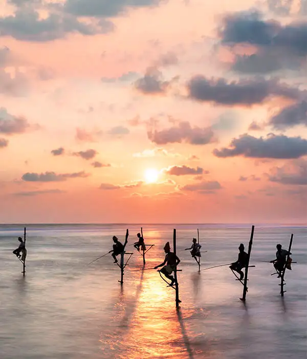 Viatges a Sri Lanka