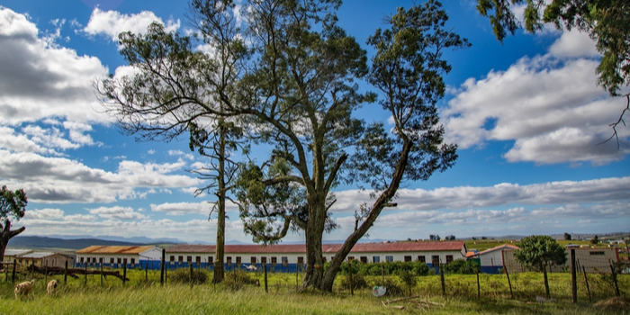 Un viaje a Sudáfrica tras las huellas de Mandela