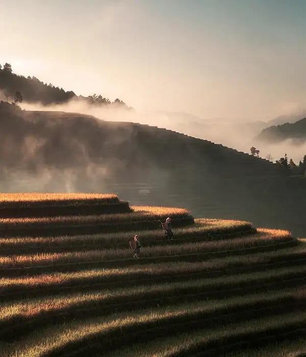 Viajes a Vietnam