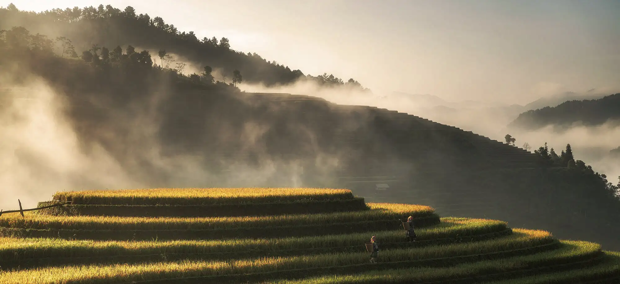 Viatges a Vietnam
