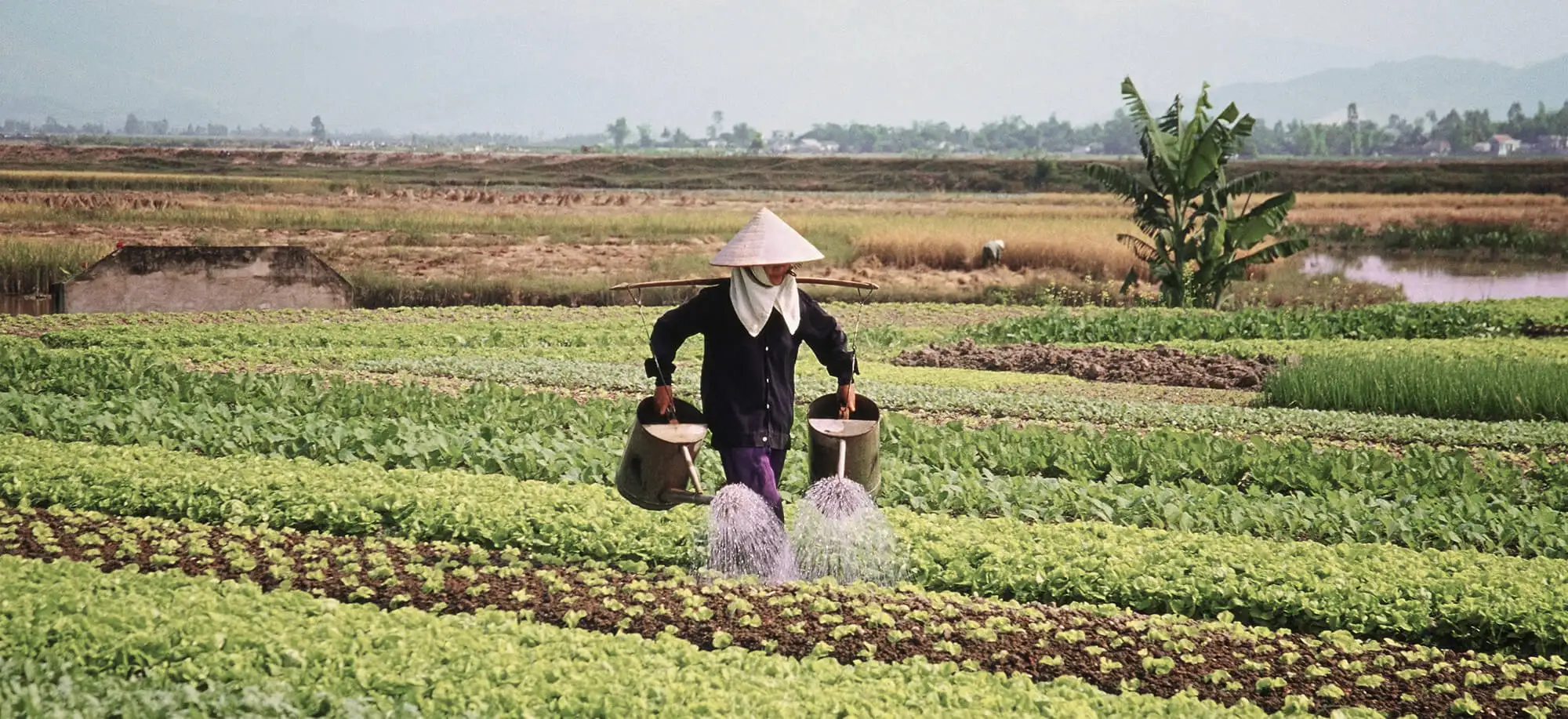 Viatges a Hanoi