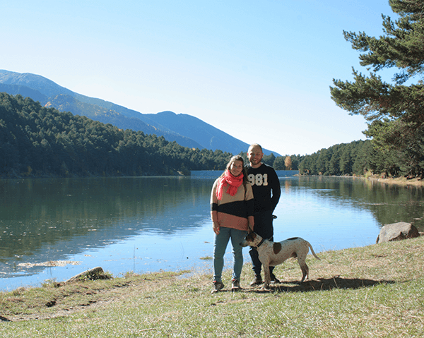 viaje-andorra-perro