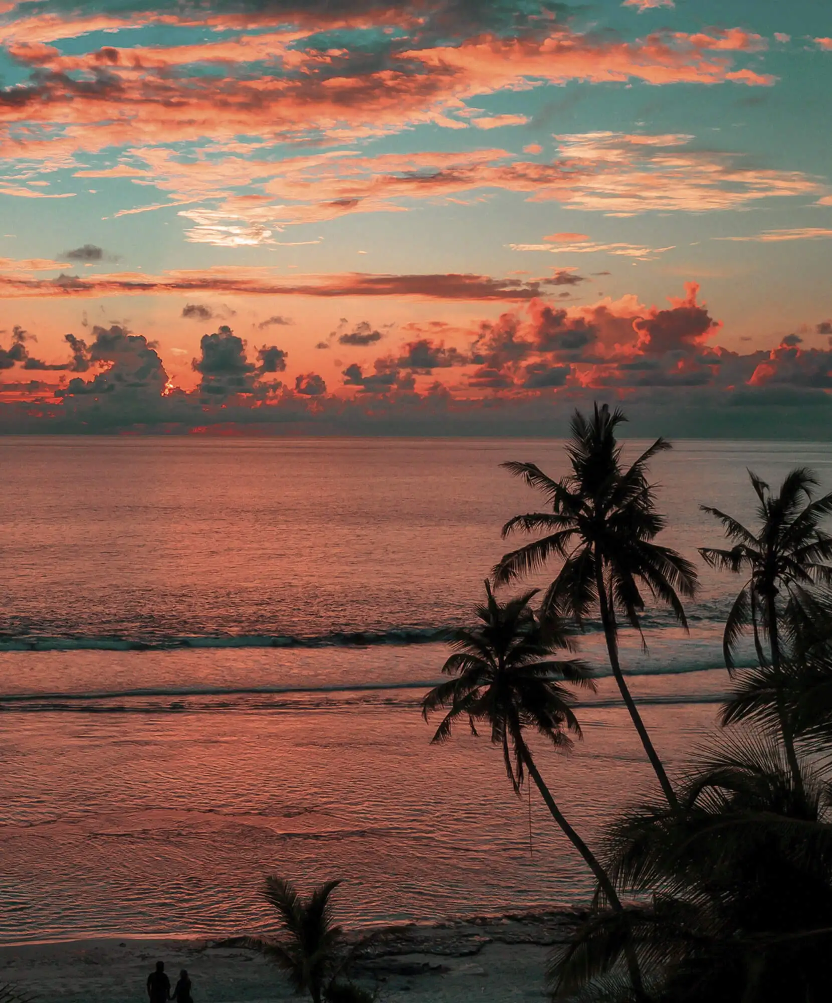 viaje-autor-buceo-atardecer-palmera-maldivas.jpg - Pangea Viajes