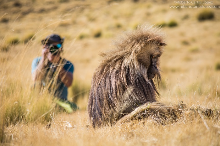 viaje-autor-etiopia-fotografico