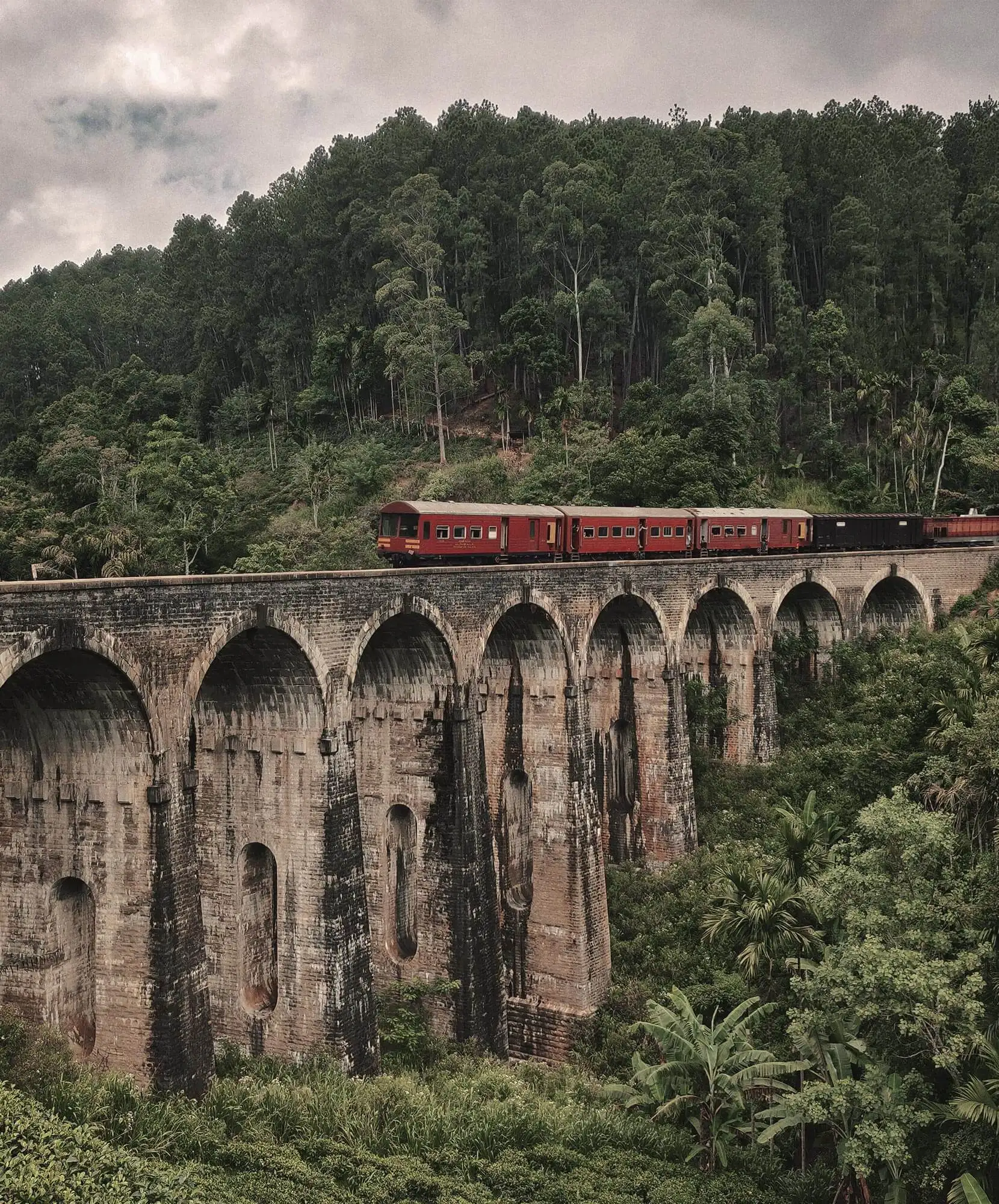 viaje-autor-sri-lanka-gomaespuma-tren-ella.jpg - Pangea Viajes