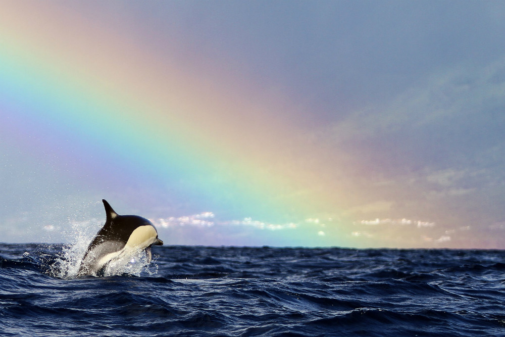 Motivos para viajar a las Azores, el lugar donde nace el verano
