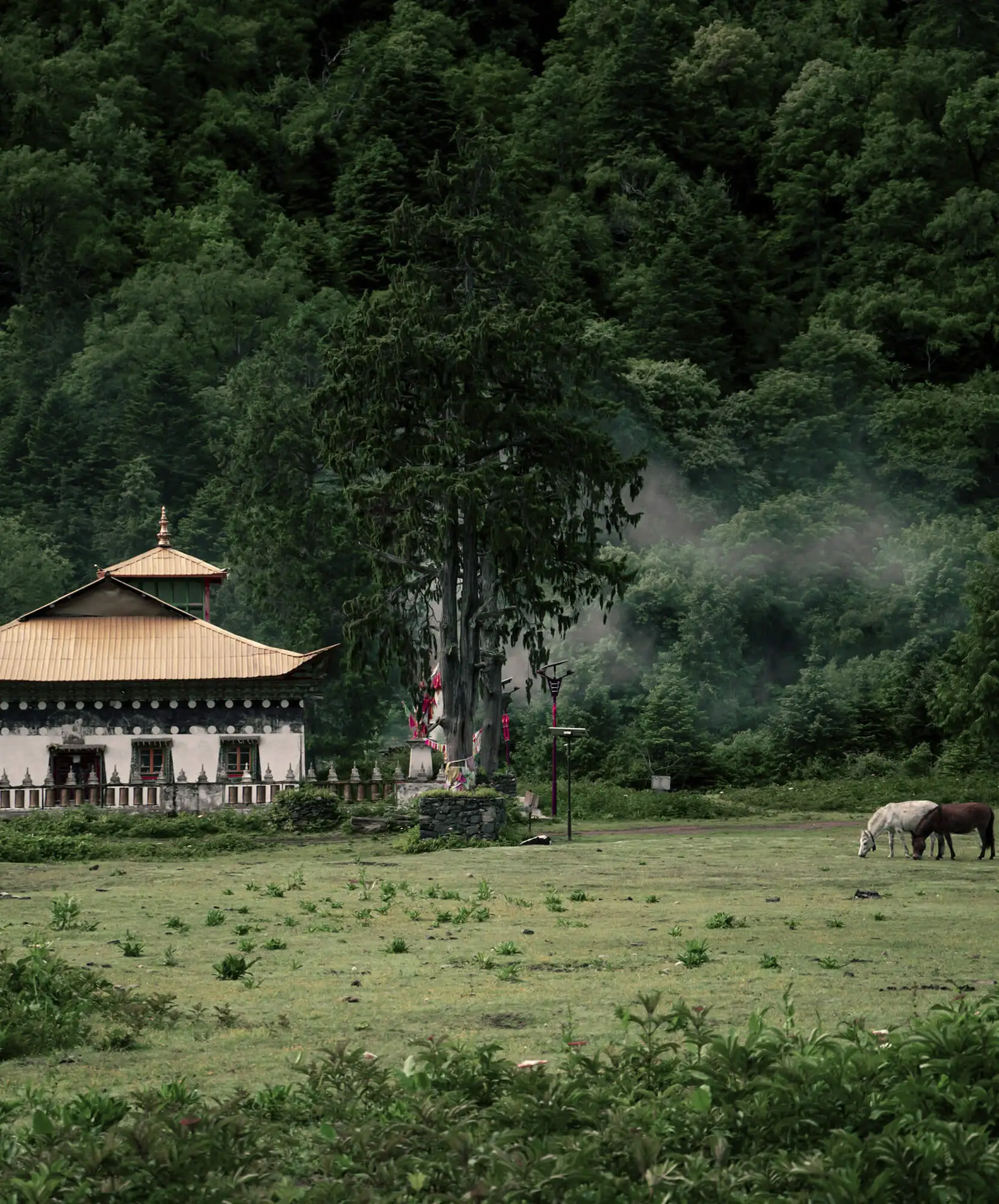 viaje-de-autor-yunnan-itinerario.webp - Pangea Viajes