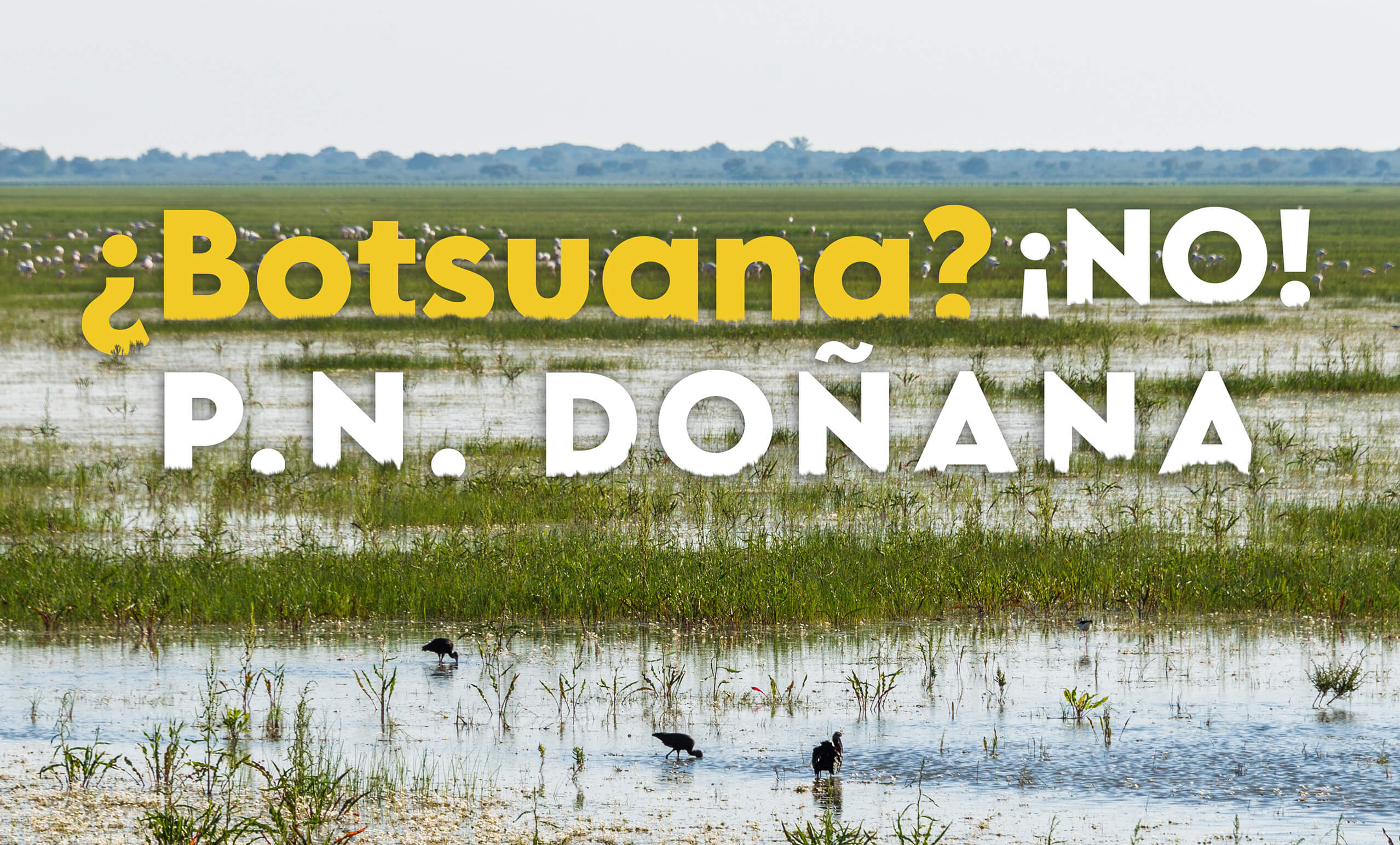 viaje-doñana-escapada