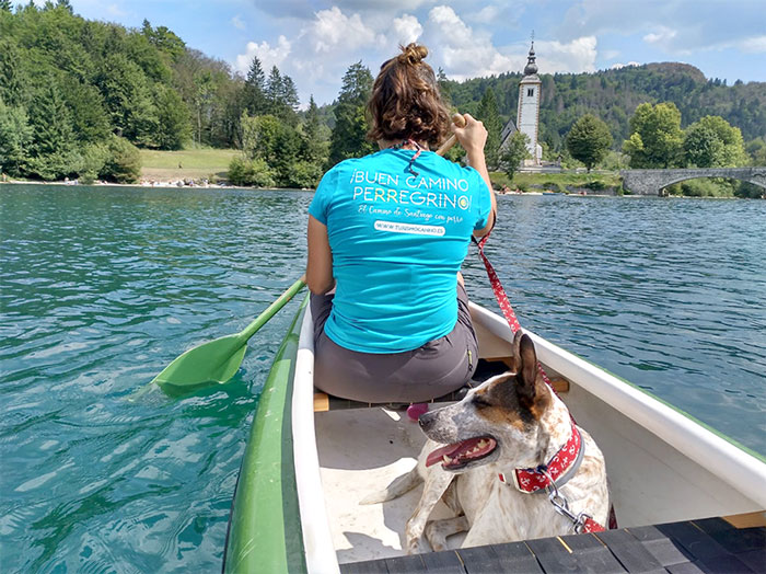 viaje-eslovenia-perro