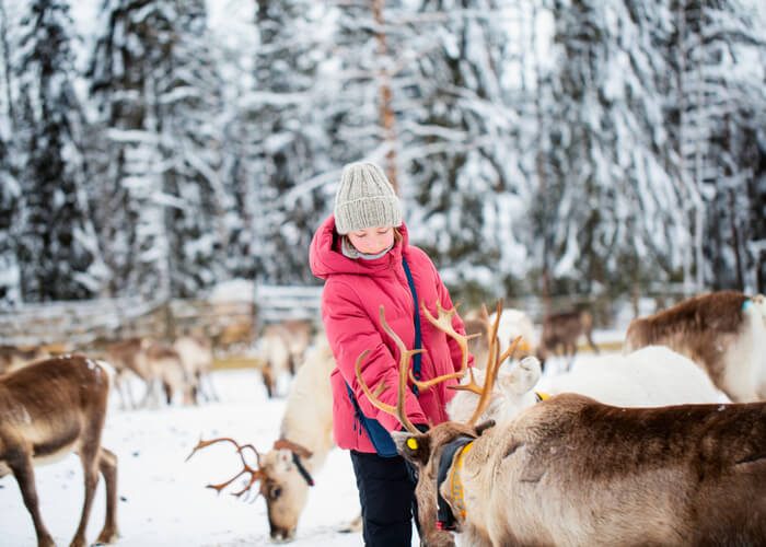viaje-familia-laponia