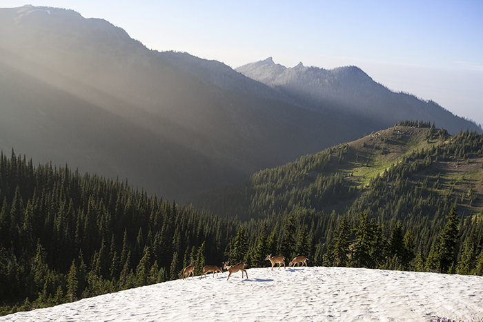 viaje-fotografico-hawai