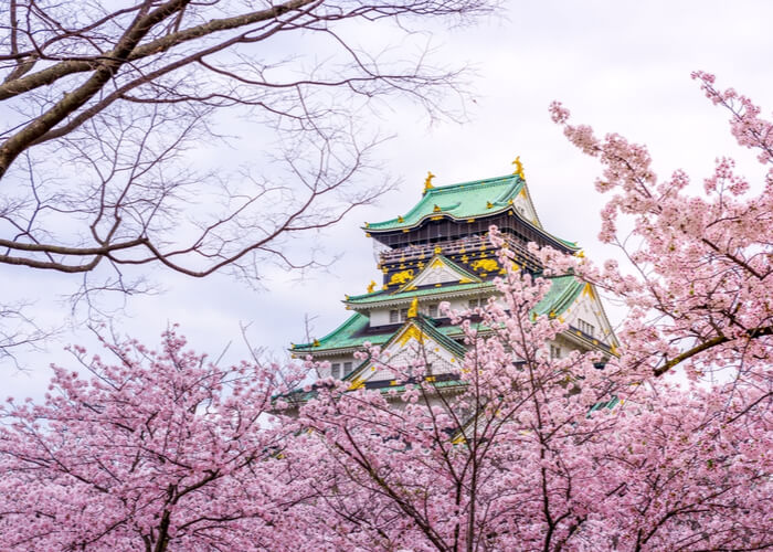 viaje_japon_floracion_cerezos_osaka