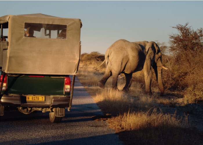 viaje-namibia-safari-etosha