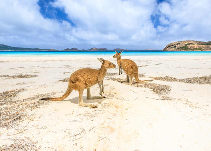 viaje-novios-australia