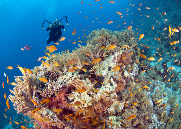 viaje de novios australia