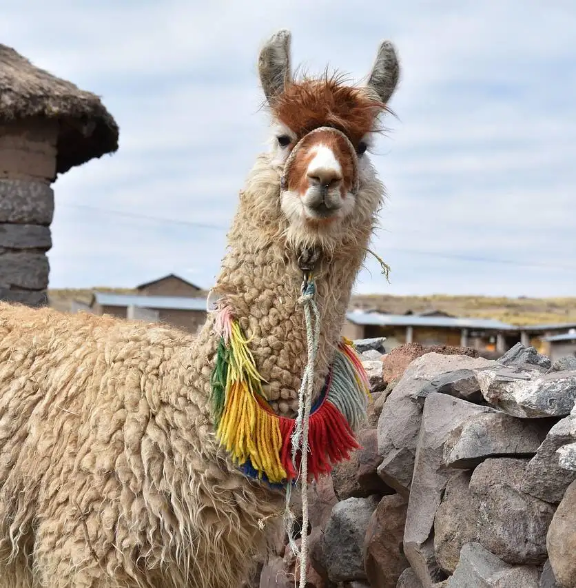viaje-peru3.jpg - Pangea Viajes