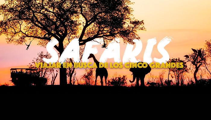 viaje-safari-africa-destino