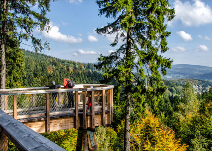 viaje-sostenible-alemania-Hainich