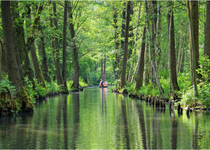 viaje-sostenible-alemania-spreewald