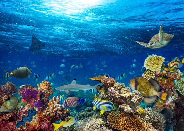 viaje-zanzibar-arrecife