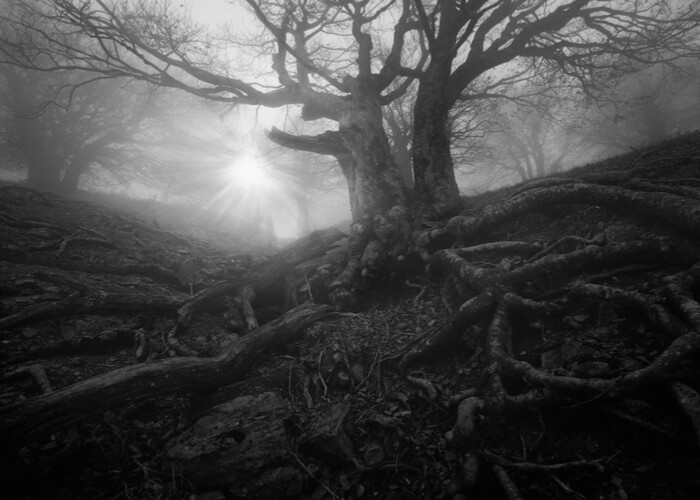 viajes-halloween-sleepy-hollow