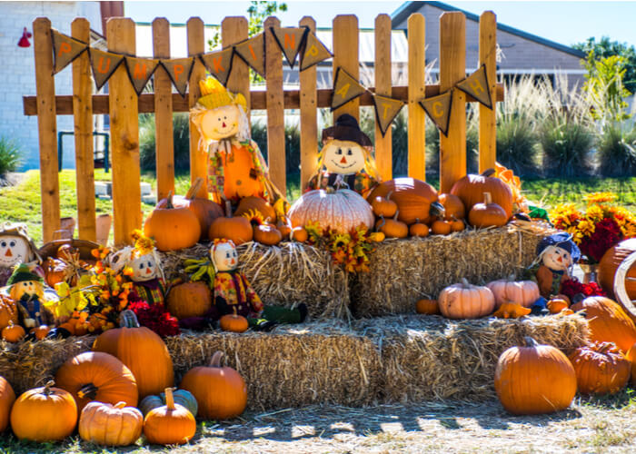 viajes-halloween-texas